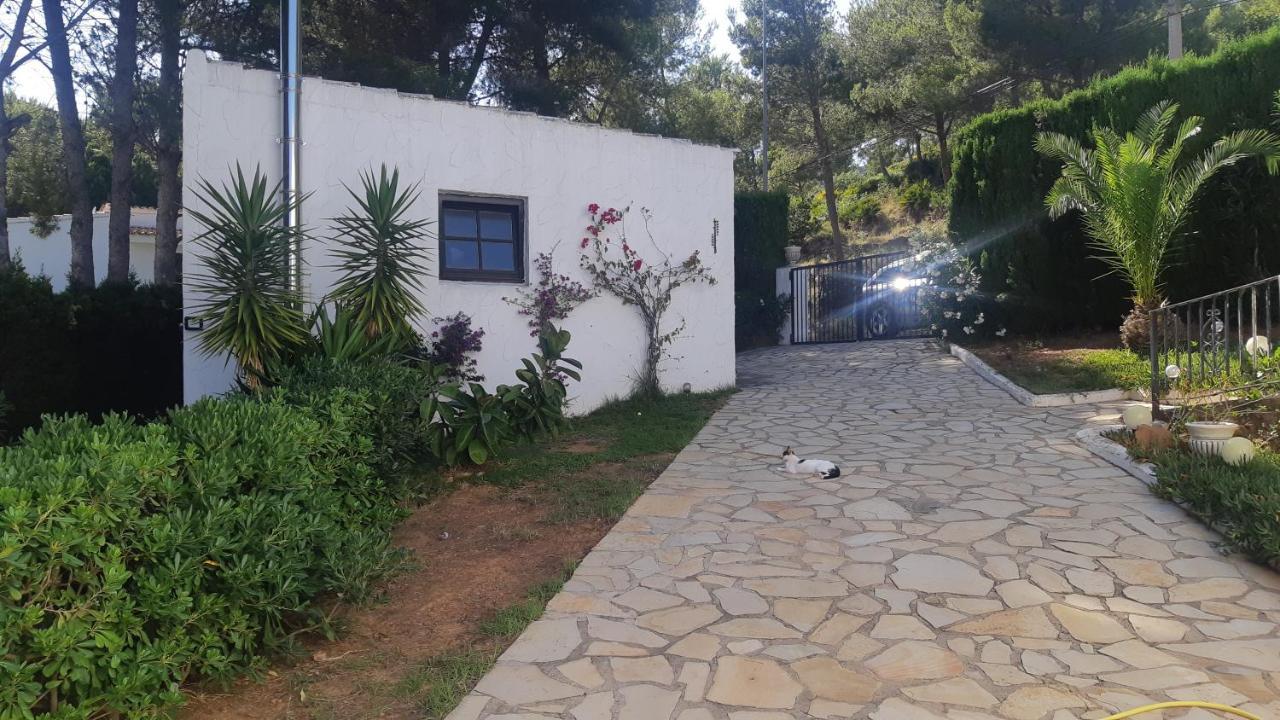 Ferienwohnung Mit Privat-Pool Alcossebre المظهر الخارجي الصورة