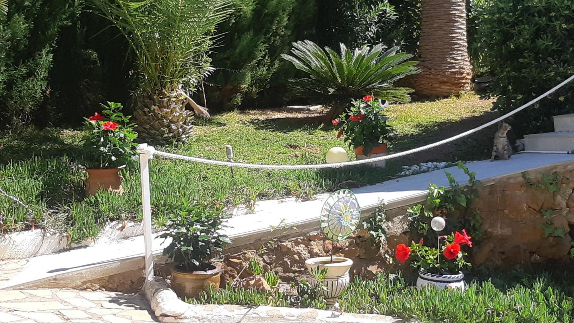 Ferienwohnung Mit Privat-Pool Alcossebre المظهر الخارجي الصورة
