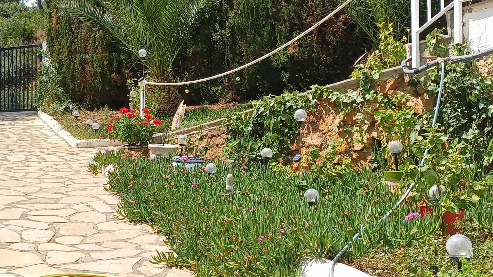 Ferienwohnung Mit Privat-Pool Alcossebre المظهر الخارجي الصورة